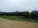 TILX 400547 is new to RRPA!